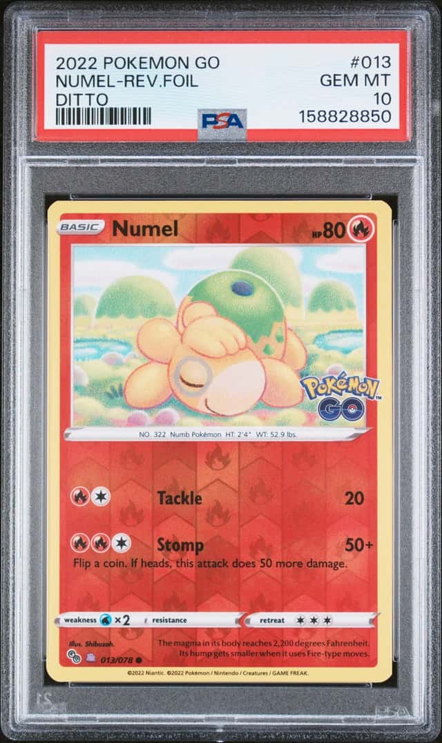 Numel (Ditto)