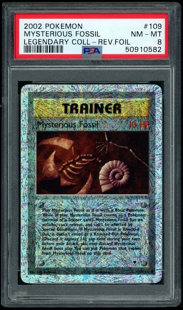 Mysterious Fossil