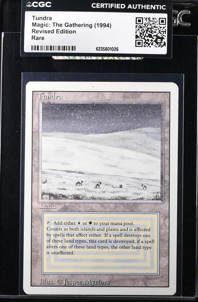 Tundra