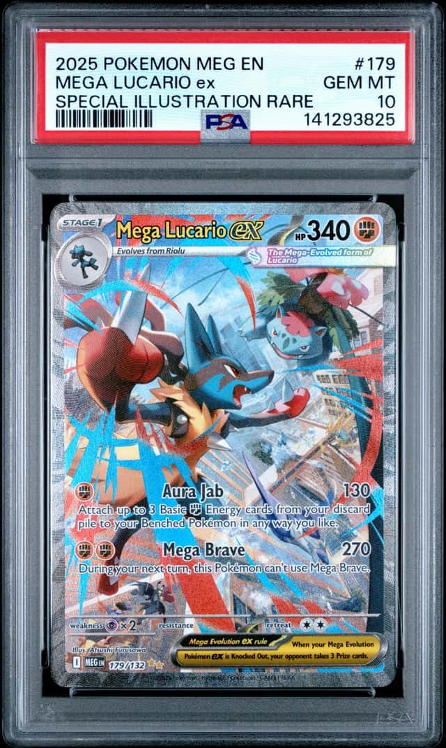 MEGA LUCARIO ex
