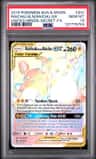 Raichu & Alolan Raichu Gx