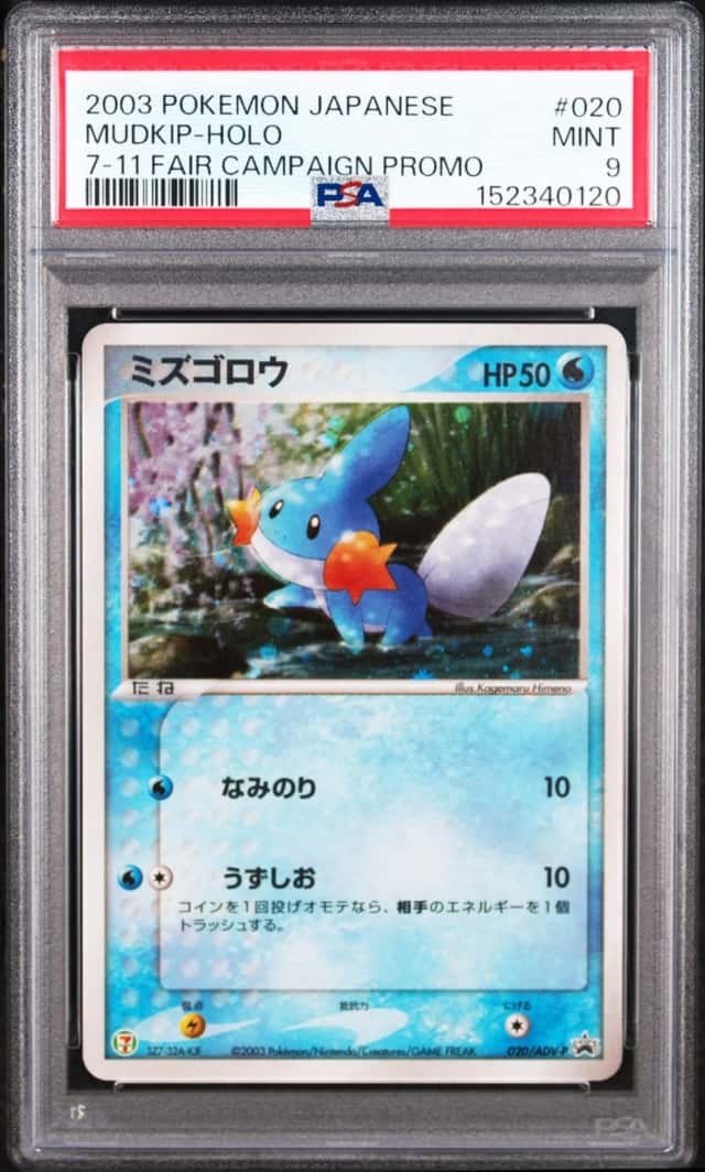 Mudkip
