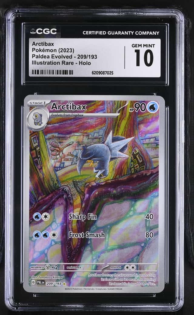 Arctibax