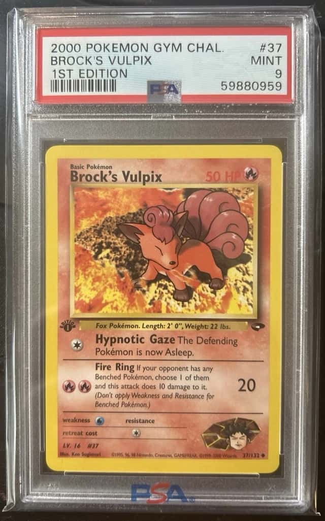 Brock's Vulpix