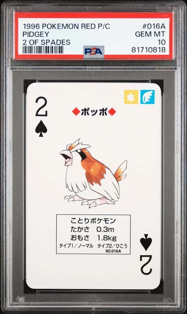 Pidgey