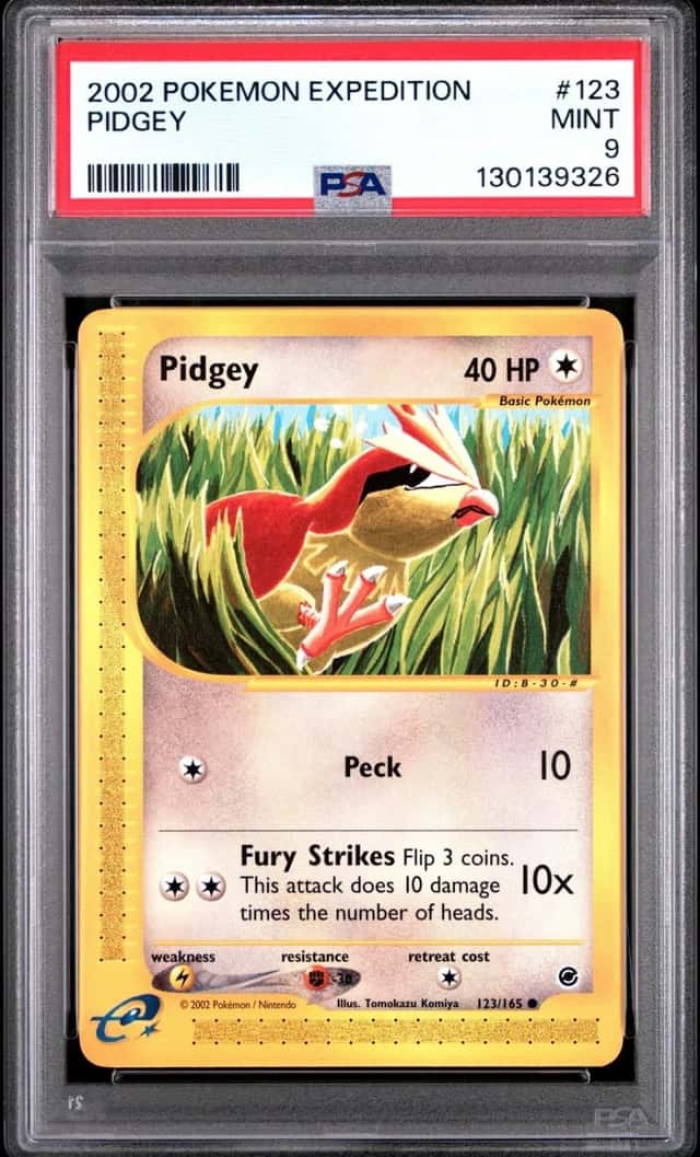 Pidgey