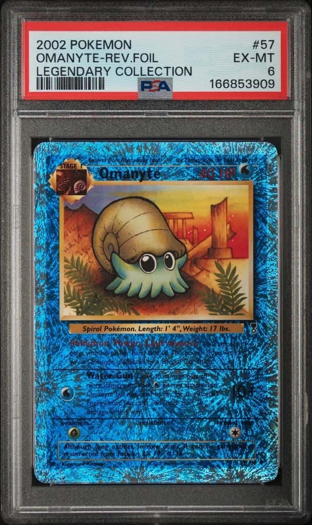 Omanyte