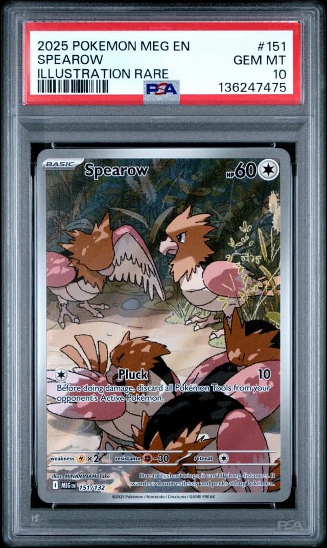 Spearow