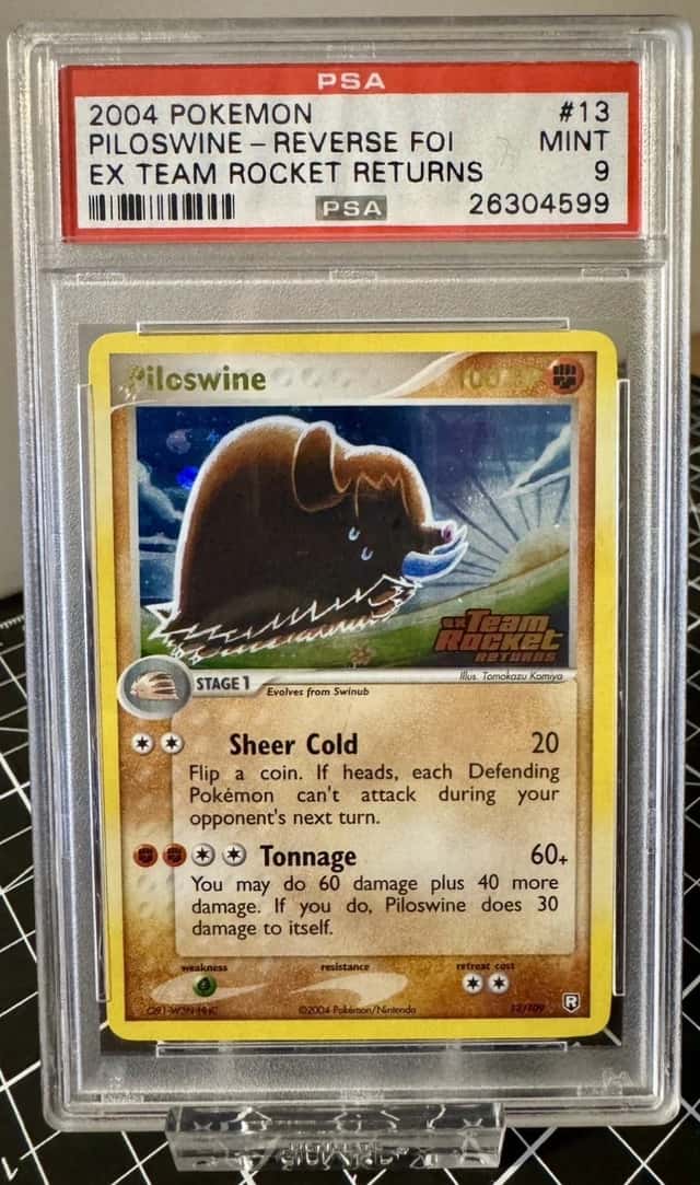 Piloswine