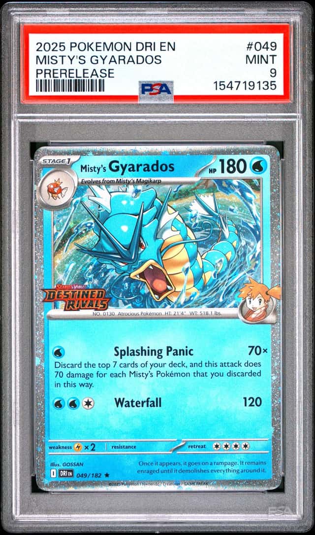 Misty's Gyarados