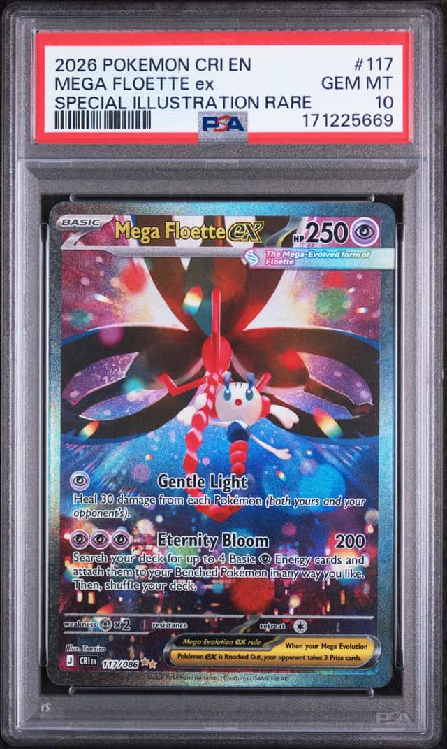 MEGA FLOETTE ex