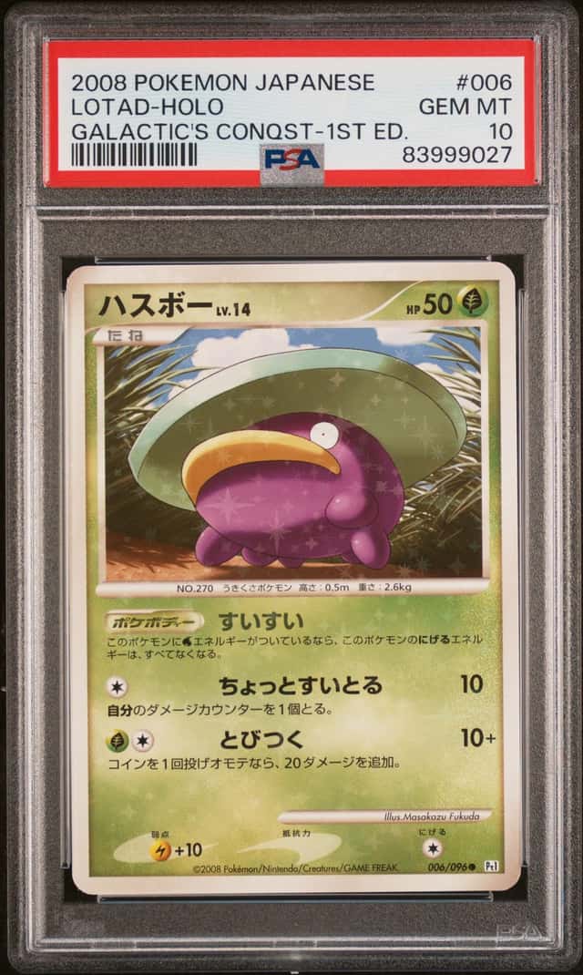 Lotad