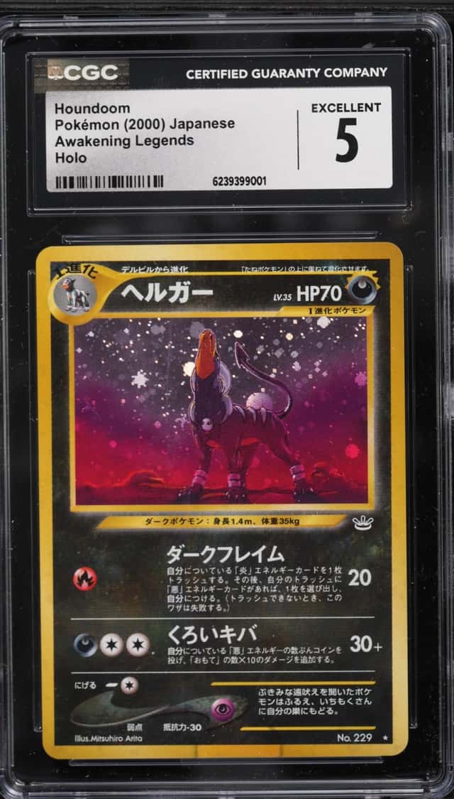 Houndoom