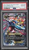 M Sharpedo Ex