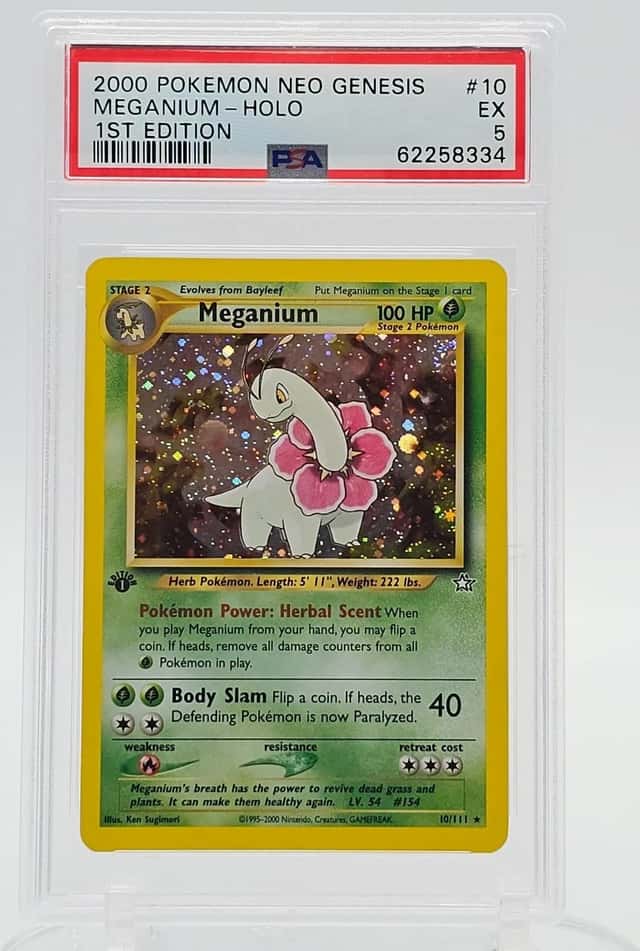 Meganium