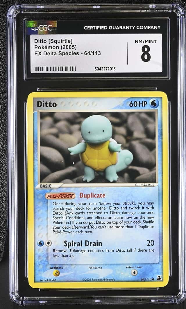 Ditto [Squirtle]