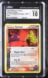 Magma'S Torkoal