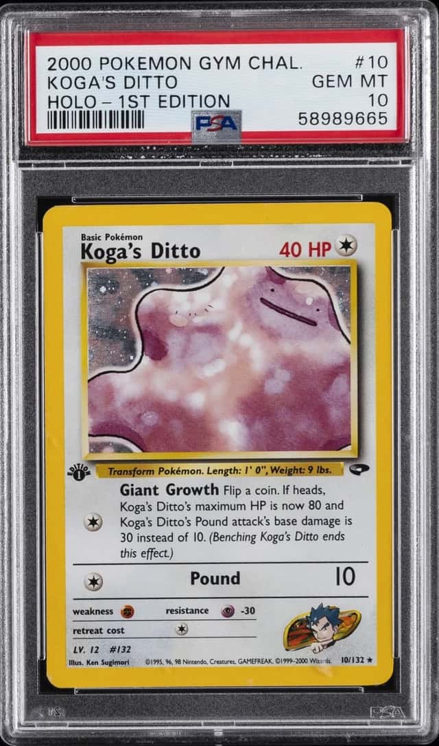 Koga's Ditto