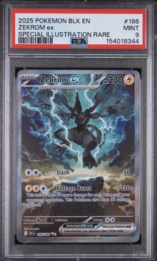 Zekrom Ex #166 PSA 9 2025 Pokemon BLK EN-Black Bolt