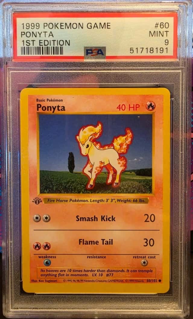Ponyta