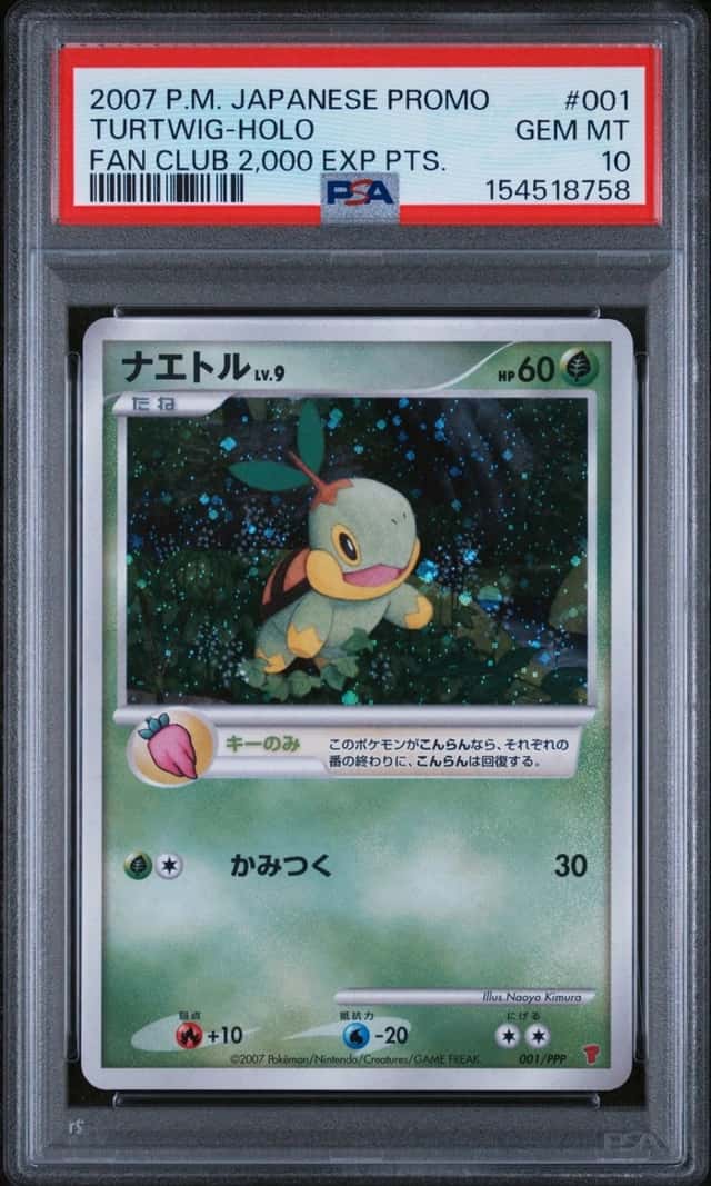Turtwig