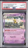 Lillie'S Ribombee