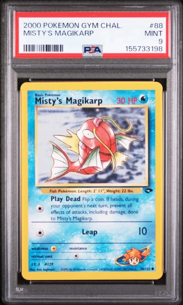 Misty's Magikarp