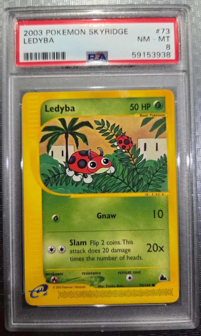 Ledyba