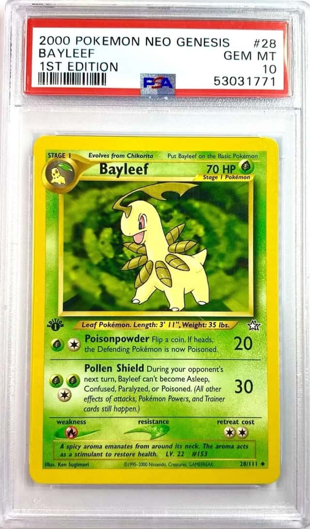 Bayleef