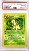 Bayleef