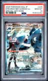Steven'S Metagross Ex