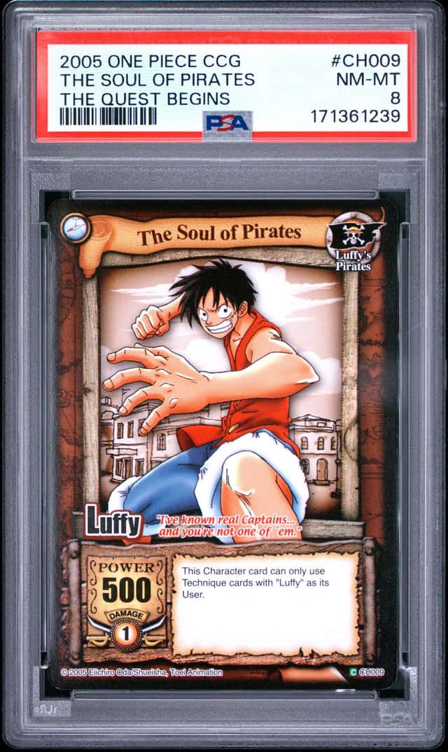 The Soul Of Pirates