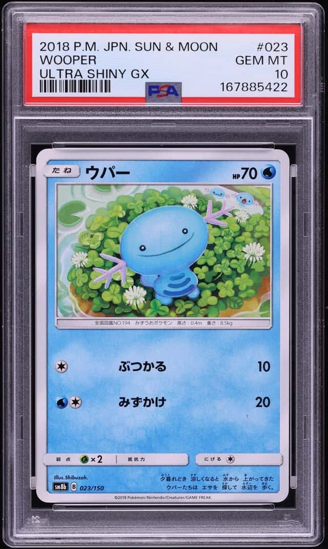 Wooper