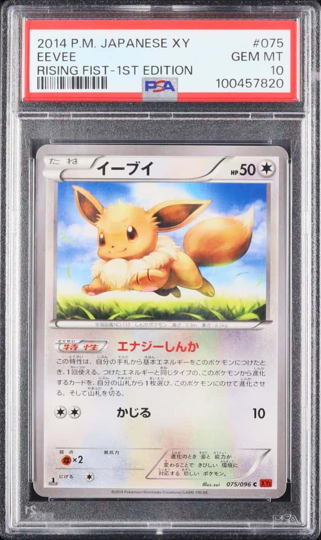 Eevee