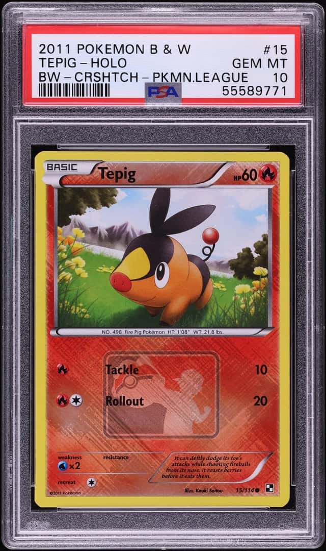 Tepig