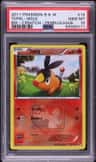 Tepig