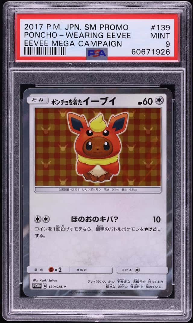 Poncho-Wearing Eevee