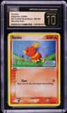Torchic