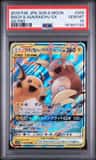 Raichu & Alolan Raichu Gx