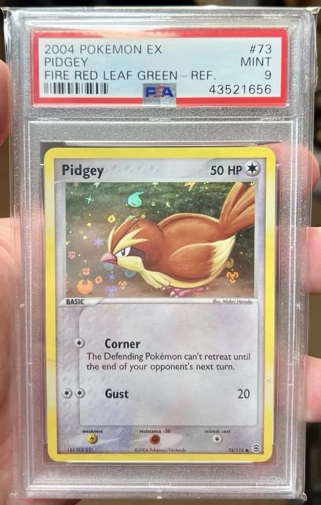 Pidgey