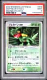 Sceptile Ex