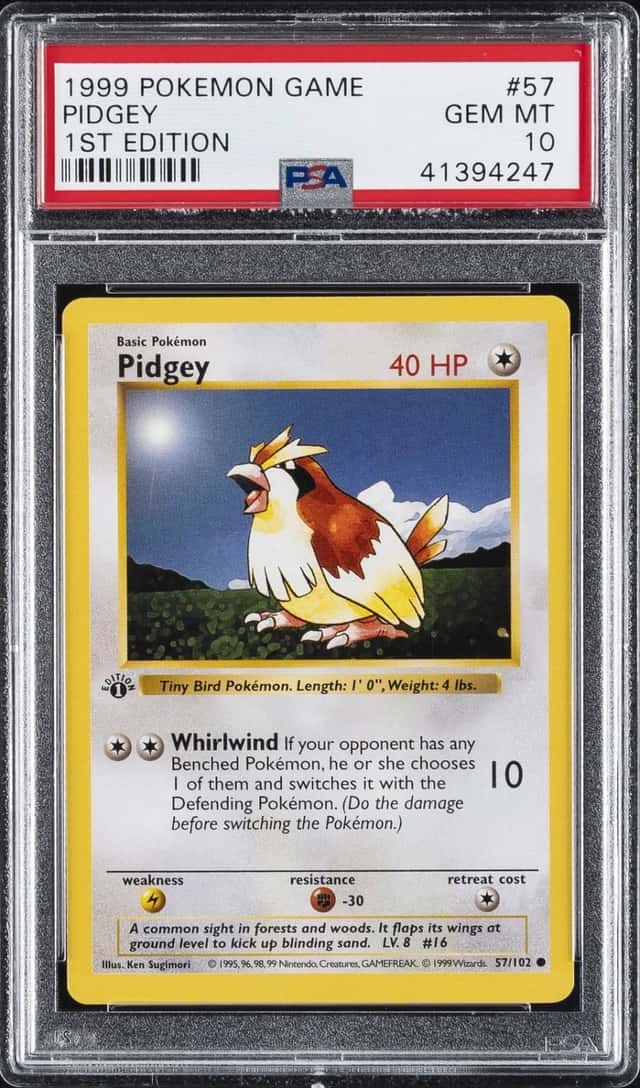 Pidgey