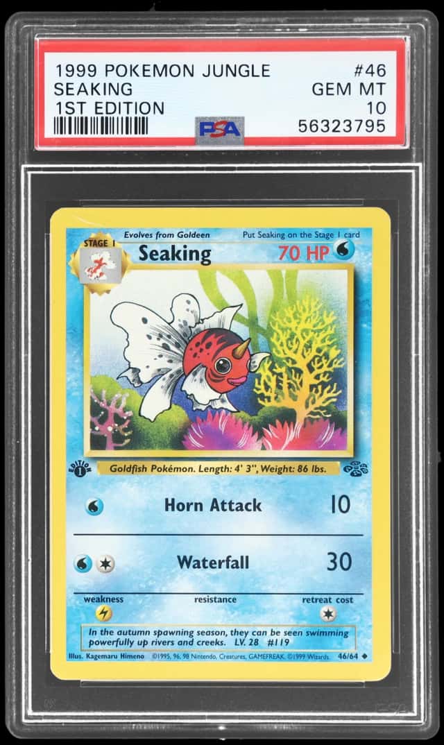 Seaking