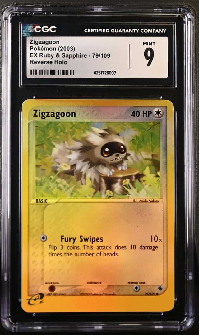 Zigzagoon
