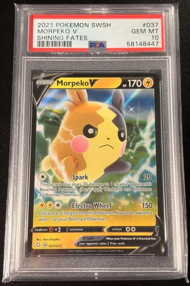 Morpeko V
