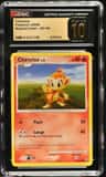 Chimchar