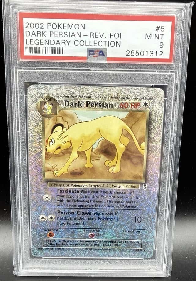 Dark Persian
