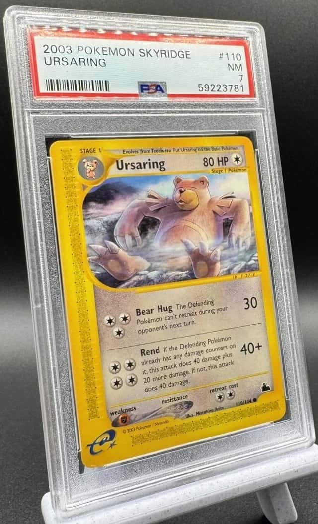 Ursaring