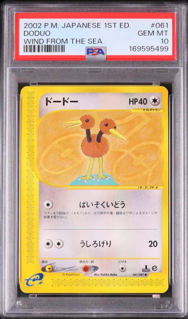 Doduo