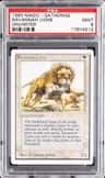 Savannah Lions
